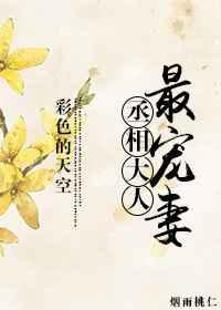 丞相大人最宠妻猫咪耳朵