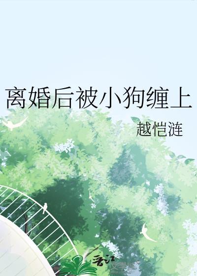 离婚后小狗缠上番外免费最新章节阅