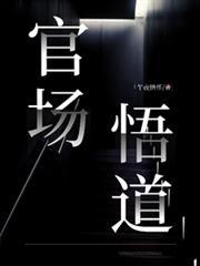 官场悟道林剑严守正高言目录