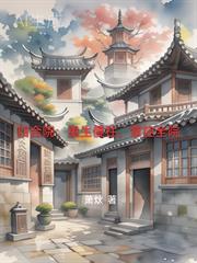 重生四合院之傻柱