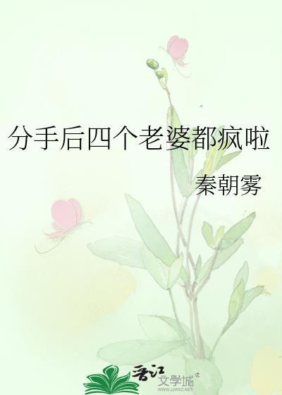 分手后四个老婆都疯啦百度