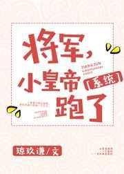 将军府的小皇子第