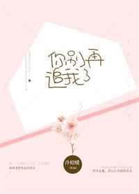 你别再追我了书包网