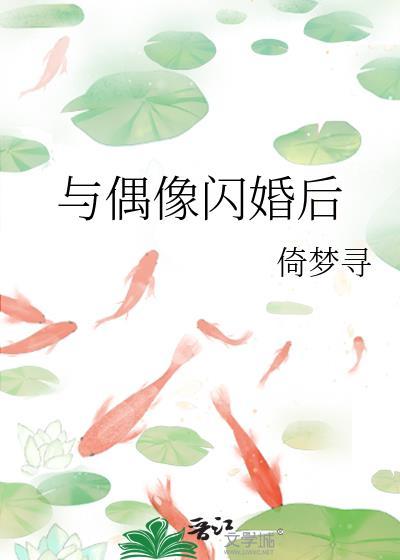 偶像闪婚后by天水绿txt