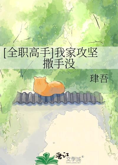 全职高手总攻文