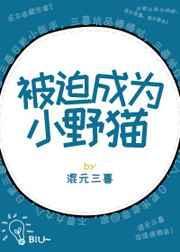 被迫成为小野猫的