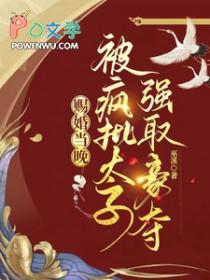 赐婚免费阅读