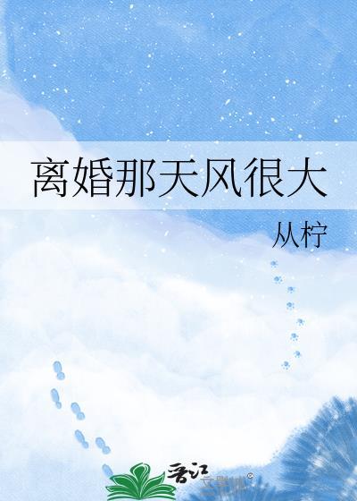离婚那天风很大作者从柠