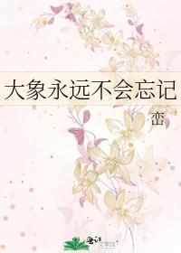 大象永远不会忘记电影