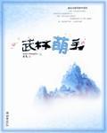 武林萌主攻略
