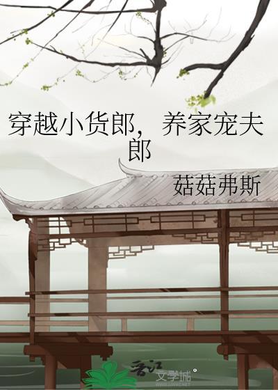 穿越小货郎养家宠夫郎