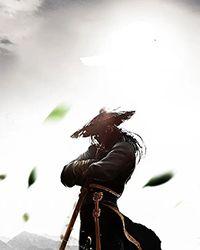 身为魔法师的我来到武道世界