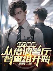 权力巅峰:从借调警厅督查组开始
