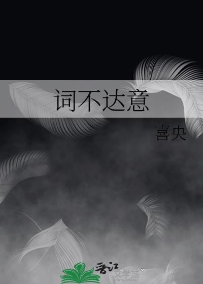 词不达意